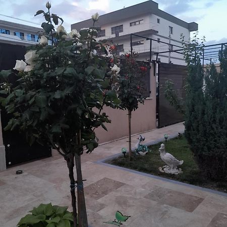 Апартаменты Casa Andrei Нэводари Экстерьер фото