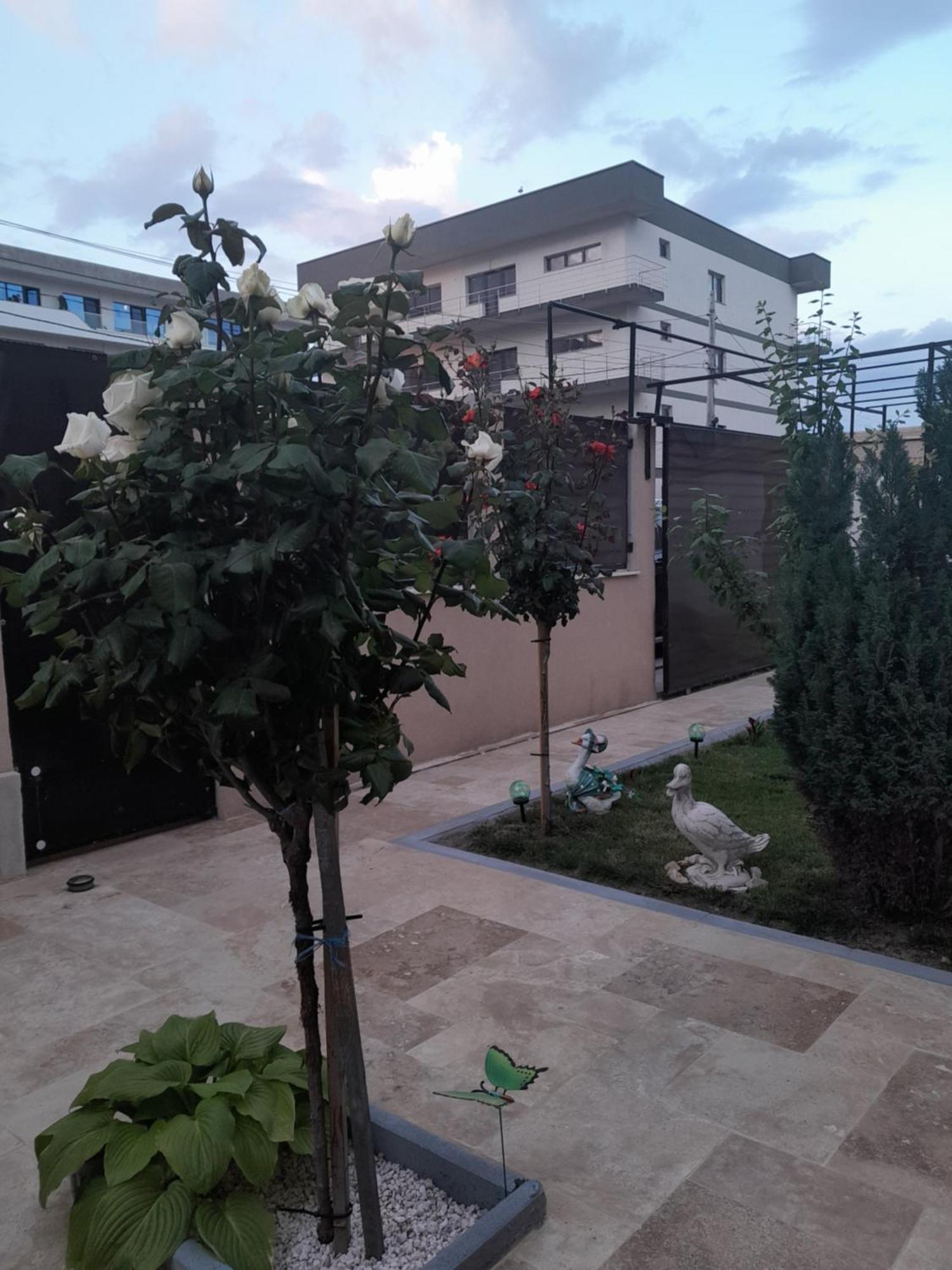 Апартаменты Casa Andrei Нэводари Экстерьер фото